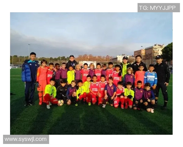 世界足球明星教案反思与教学实践的深度结合探索