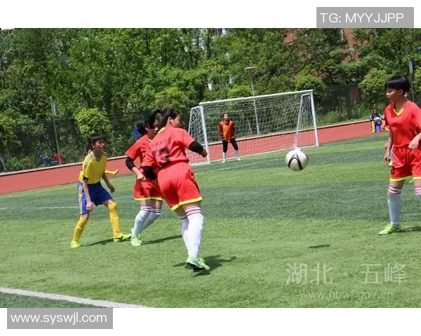 成都足球队的成长之路：一段激情与梦想交织的纪实故事