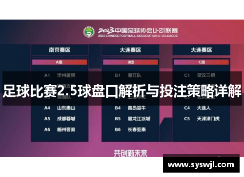 足球比赛2.5球盘口解析与投注策略详解