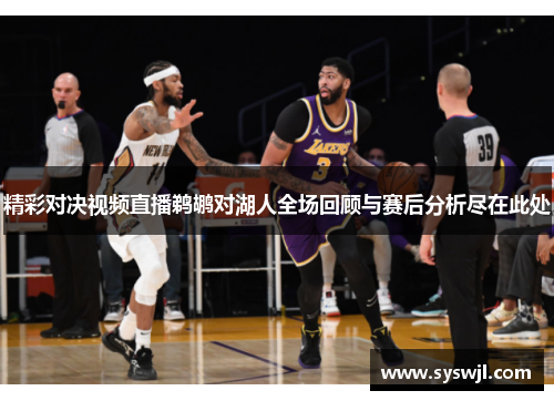 精彩对决视频直播鹈鹕对湖人全场回顾与赛后分析尽在此处